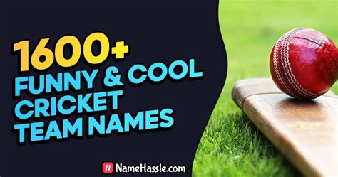 1600 Unique Funny Cricket Team Names Ideas Generator