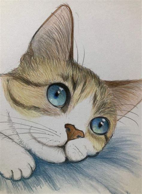 Pin By Karen Cowin On Colored Pencil In 2023 Cat Art Painting Cat