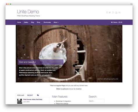 Best Free Wordpress Themes With Previews Eu Vietnam