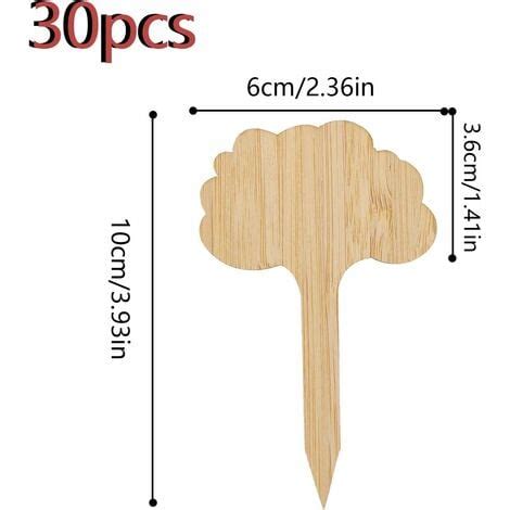 Pi Ces Tiquettes De Plantes En Bambou Marqueurs De Plantes De Type