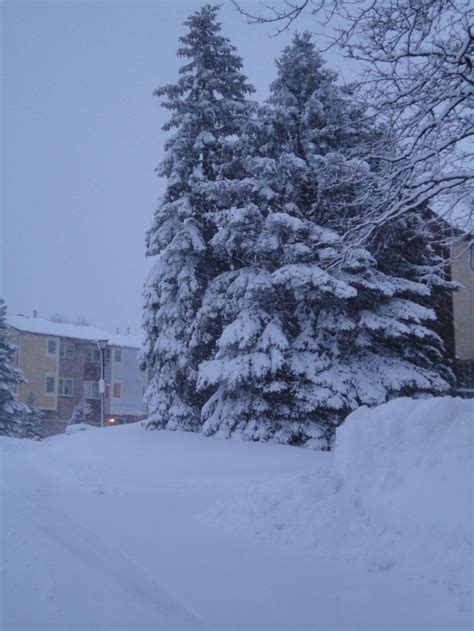 80 best images about Winter in Ottawa Ontario, Canada on Pinterest | Gardens, Ontario and Snow