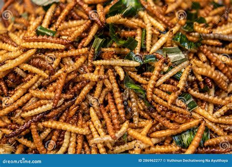 Deep Fried Variety Of Insects Worm Selling Along The Road Side Famous Thai Street Food Stock