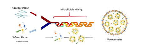 Lipid Nanoparticles Synthesis System | LNP, Liposome, PLGA for Drug Delivery | PreciGenomeLLC, USA