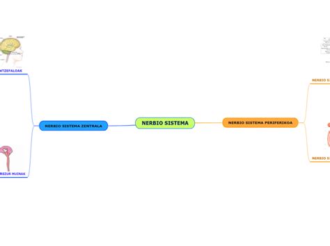 Nerbio Sistema Mapa Mental Amostra