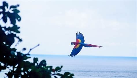 Obstacles to Costa Rica's Tourism Comeback | www.centralamerica.com