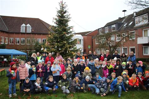 Seevetaler Rathaus Hittfelder schmücken Weihnachtsbaum seevetal