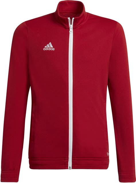 Jacheta Adidas ENT22 TK JKTY 11teamsports Ro