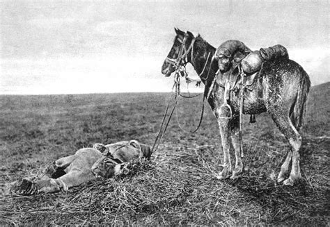 HISTÓRIA LICENCIATURA Animais na Primeira Guerra Mundial 1914 1918