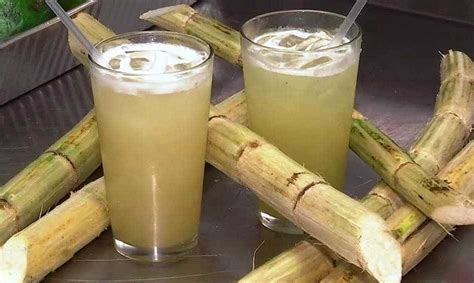 Guarapo: Discover the Benefits of this Delicious Sugarcane Drink » Savoteur