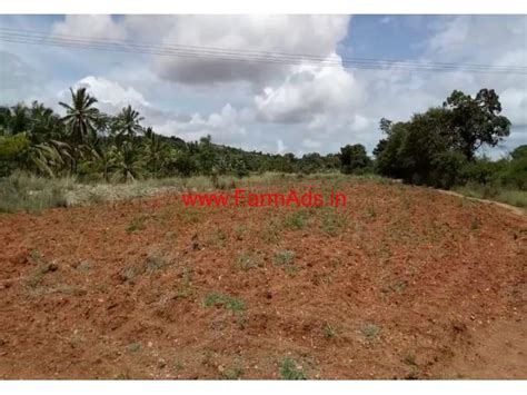 18 Acres Farm Land For Sale At Kabballi Village Near Begur Gundlupet