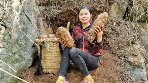 Full Video Days Of Harvest Wild Tubers Bamboo Shoots Bring To