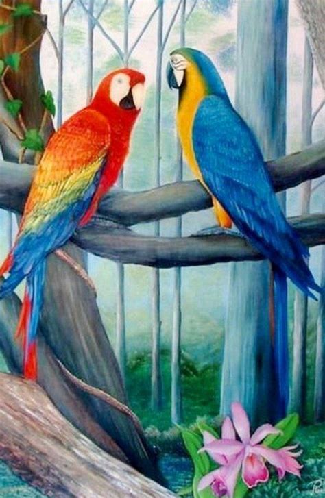 Cuadros Tropicales Buscar Con Google Pinturas De P Ssaros P Ssaros