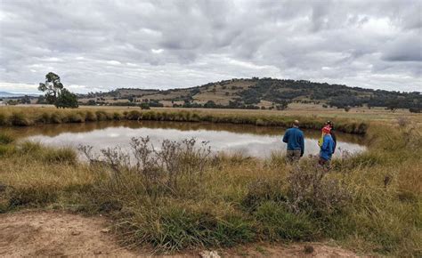 Healthy Farm Dams With Central West Lls Field Day Trundle Nsw Anu