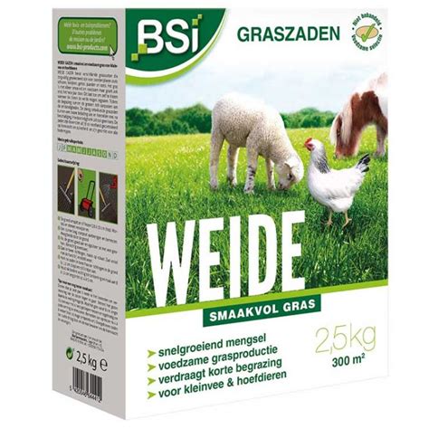 BSI Semences de Gazon Prairie Herbe appétissante 2 5 kg MarketOnWeb