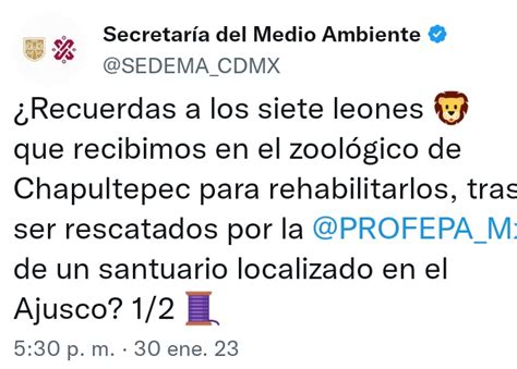 Luc A Hern Ndez Amo La Ciencia On Twitter Pregunta La Sedema S