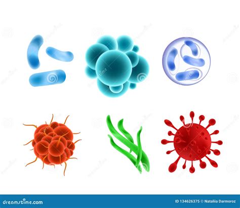 Vector Illustration Set Of Realistic Bacterias Different Types Colors