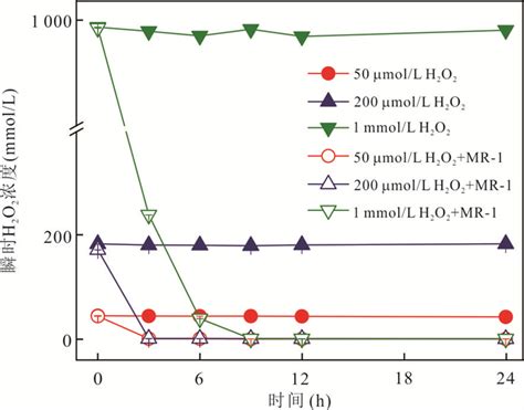 铁还原菌 Shewanella Oneidensis Mr 1在h 2 O 2 扰动下的响应及机制