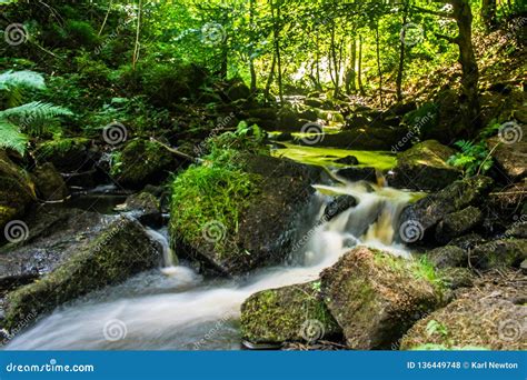 Waterfall Brook Peak District Stock Photo Image Of Colourful