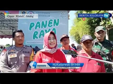 Panen Ikan Jadi Wisata Tiban Jambu Kulon Ceper Klaten I Hj Kadarwati