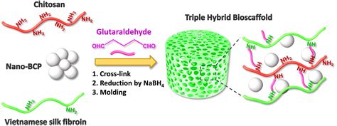 Triple Hybrid BioScaffold Based On Silk Fibroin Chitosan And Nano