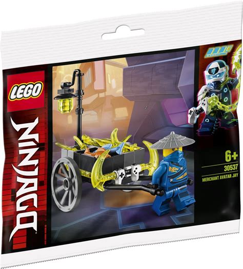 Brickfinder - Your Complete Guide To LEGO Polybags 2020 1HY