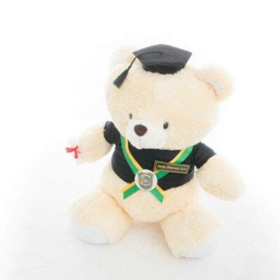 Boneka Wisuda Binus Teddy Bear Jogja Kado Wisudaku