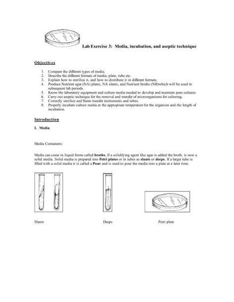 Lab Exercise Media Incubation And Aseptic Technique