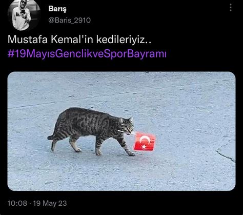 C Erdoğan on Twitter RT AY BkCaN Bence evrim gerçek önce