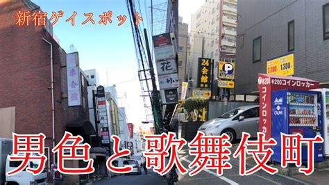 男色と歌舞伎町娼〇が生きるラブホテル街 東京都新宿区 Gay and Kabukicho Love hotel alley where prostitutes make a