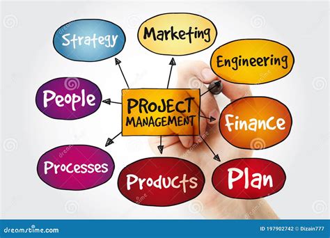 Project Management Mind Map With Marker Business Concept Stock