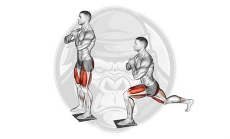 The Best Hip Adductor Exercises Updated Jacked Gorilla