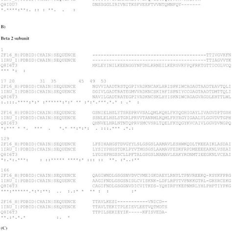 Multiple sequence alignment corresponding to the β1 subunit sequences