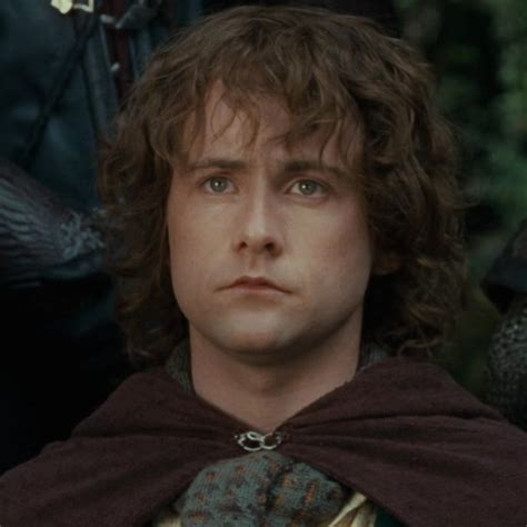 Pippin Took Icon ♡ The Hobbit Lord Of The Rings Lotr