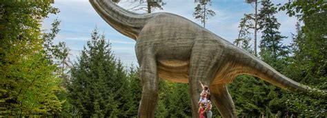 Dinosaurier Museum Altm Hltal Museen In Bayern