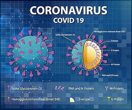 Diagram Of Corona Virus Particle Structure Disease Structure Pattern ...