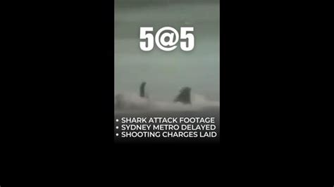 WATCH: Shark attack footage under police investigation | Daily Telegraph