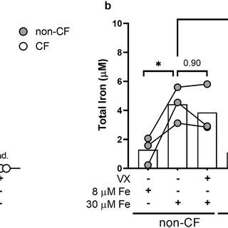 Non CF MDMs Deplete More Exogenous Iron Than CF MDMs Total Iron Fe 3