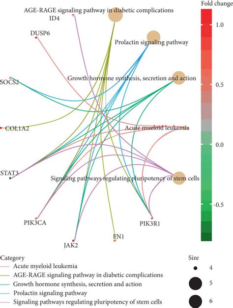 The Kegg Pathway Enrichment Analysis Of Mrnas In The Network A The Download Scientific