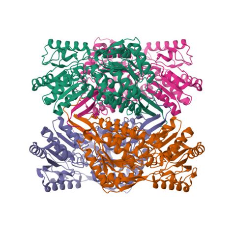 Gene P00352 Protein ALDH1A1 Overview CanSAR Ai