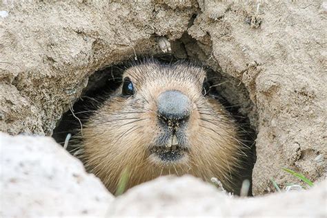 The Deep Theology Of Groundhog Day