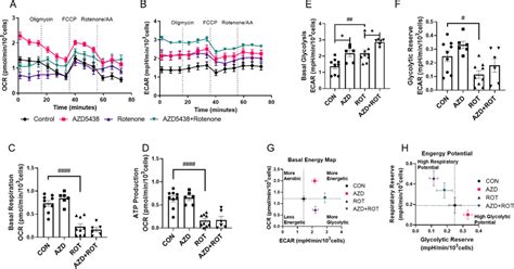 Assessing The Effect Of Azd On Cellular Energy Metabolism Using The