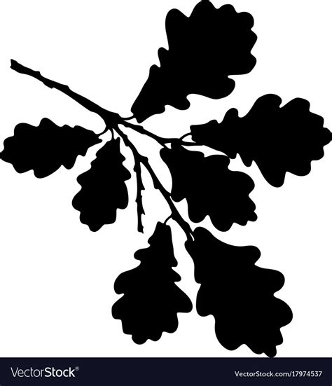 Oak leaf acorn and branch isolated silhouette Vector Image