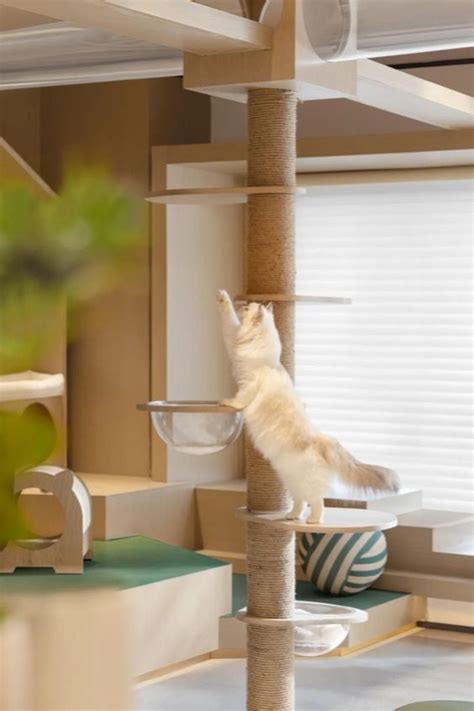 Cat Rooms That Will Inspire Your Inner Designer Cat Furniture Design