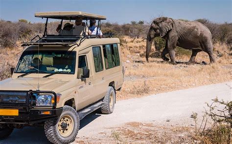 Safari trip for seven guests plus driver in spacious “stretched Landcruiser”