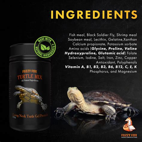 tips for turtle aggressive naturally 3