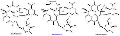 Antibiotics Free Full Text Azithromycin Through The Lens Of The