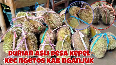 Durian Asli Desa Kepel Kec Ngetos Kab Nganjuk Youtube