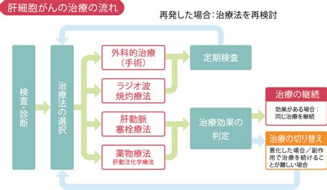 肝細胞がん治療について｜plus Chugai 中外製薬医療関係者向けサイト（医師向け）