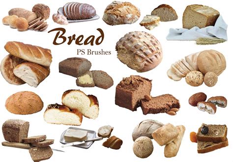 Bread Ps Brushes Abr Vol Free Photoshop Brushes At Brusheezy