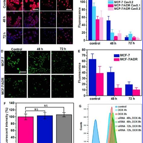 Cell Viability Of A Mcf 7 And B Mcf 7adr After Incubation With Download Scientific Diagram